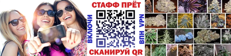 Что такое Каргополь СК  Псилоцибиновые грибы  Гашиш  АМФ 