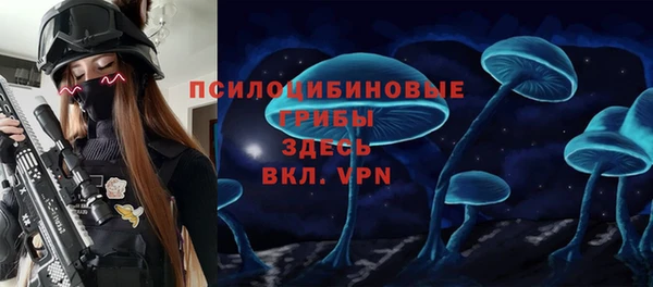 a pvp Володарск