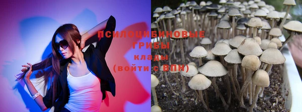 a pvp Володарск