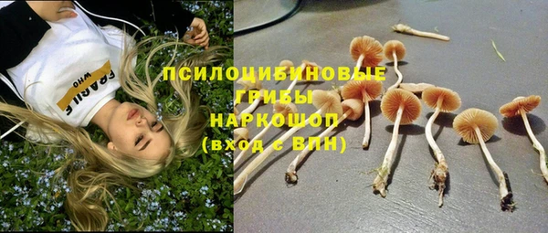 a pvp Володарск